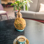 Perfect Seating for Memorable Meals